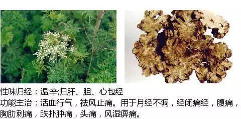 活血化瘀药